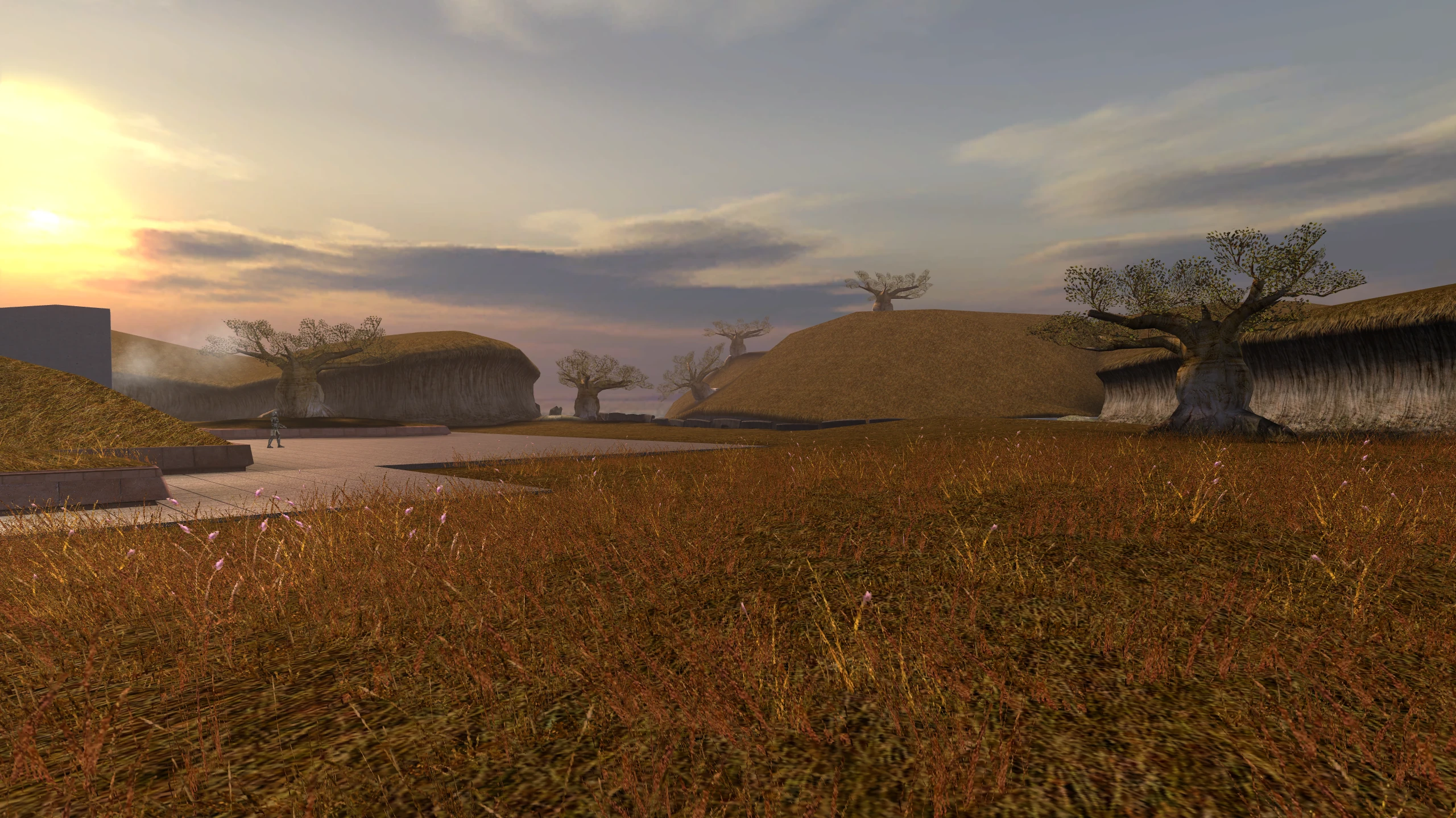 The same location, with the grass appearing correctly on the ground.